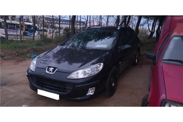 peugeot 407 sw (2004) del año 