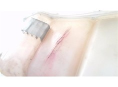 Recambio de botella expansion para ford fusion (cbk) 1.6 tdci referencia OEM IAM 1221053  