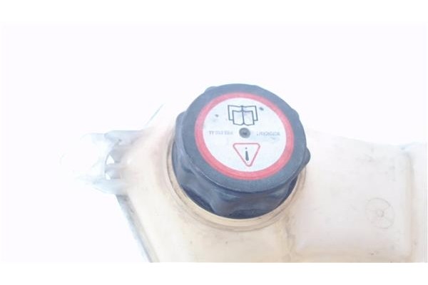 Recambio de botella expansion para ford fusion (cbk) 1.6 tdci referencia OEM IAM 1221053  