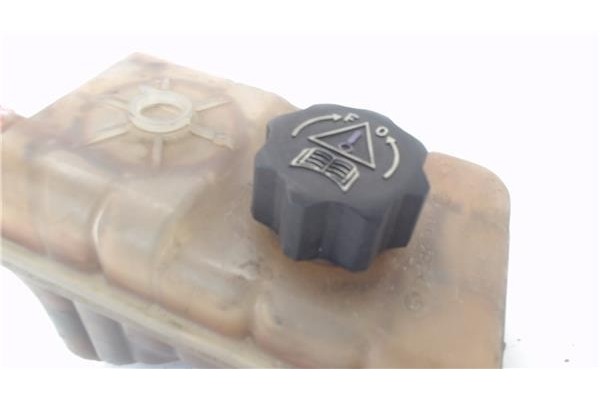 Recambio de botella expansion para citroen c5 berlina 2.0 audace referencia OEM IAM 1323V1  