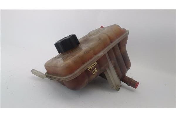 Recambio de botella expansion para citroen c5 berlina 2.0 audace referencia OEM IAM 1323V1  