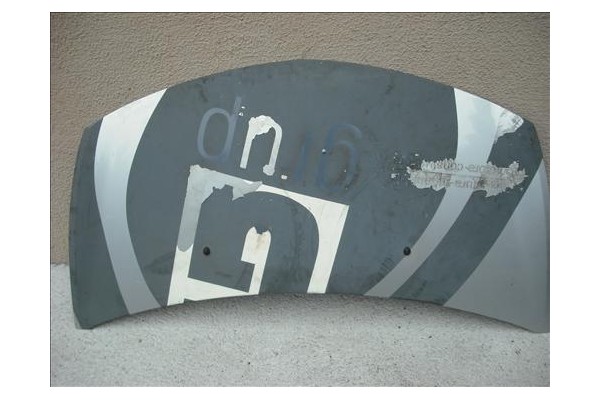 Recambio de capo para renault clio iii referencia OEM IAM   