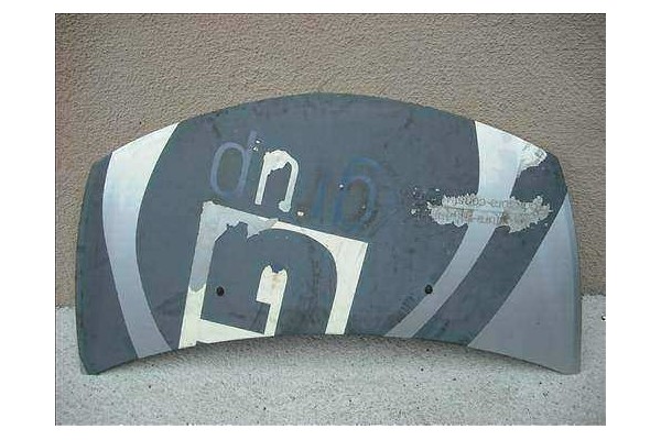 Recambio de capo para renault clio iii referencia OEM IAM   