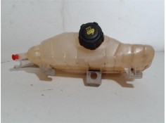 BOTELLA EXPANSION 8200129956 