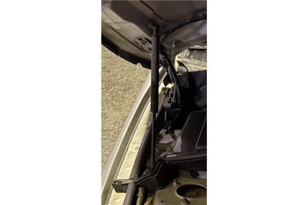 Recambio de amortiguador capo para bmw serie 1 berlina (e81/e87) 2.0 118d referencia OEM IAM 51237118370  