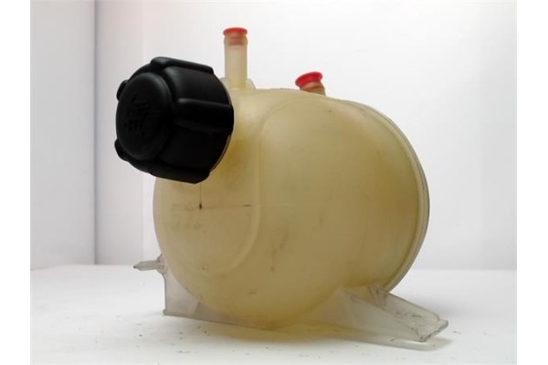 Recambio de botella expansion para renault kangoo 4x4 1.9 rapid referencia OEM IAM 7700836316 22112 