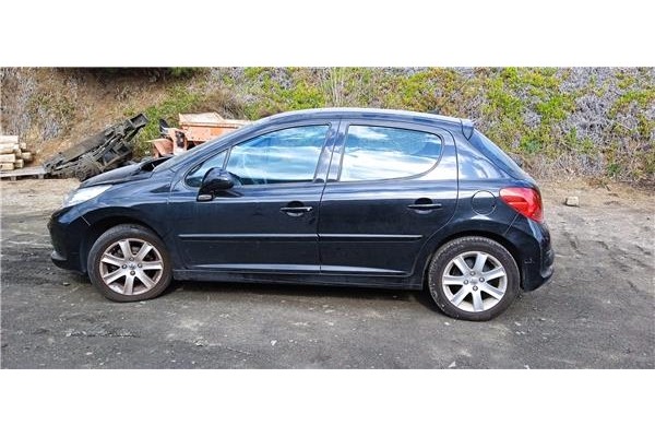 peugeot 207 del año 2009