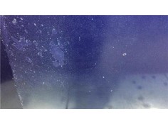 Recambio de capo para volkswagen passat berlina (3b3) 1.9 tdi referencia OEM IAM 3B0823031K  