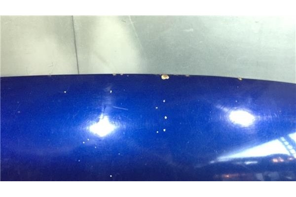 Recambio de capo para volkswagen passat berlina (3b3) 1.9 tdi referencia OEM IAM 3B0823031K  