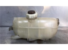 BOTELLA EXPANSION 8200199170 