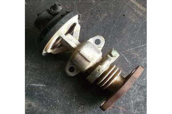Recambio de egr para seat ibiza (6l1) 1.9 sdi referencia OEM IAM 038131501C 72247702 