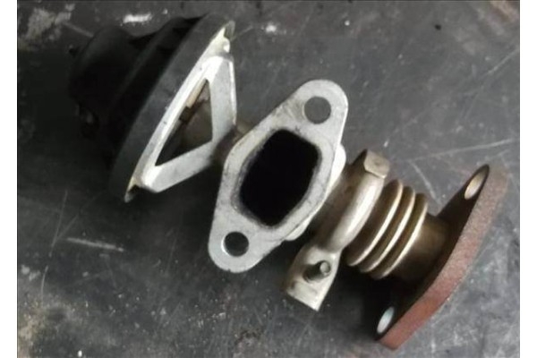Recambio de egr para seat ibiza (6l1) 1.9 sdi referencia OEM IAM 038131501C 72247702 