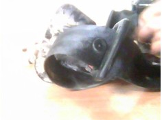 Recambio de juego cinturones trasero para seat exeo berlina (3r2) 1.6 referencia OEM IAM 3R0857805RAA 3R0857807ARAA 