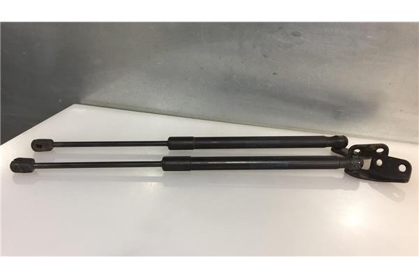 Recambio de amortiguador porton para suzuki swift iii (sg) 1.3 referencia OEM IAM 3439TZ0410N  
