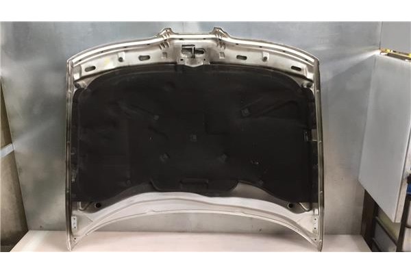 Recambio de capo para seat leon (1m1) 1.9 tdi referencia OEM IAM 1M0823033D  