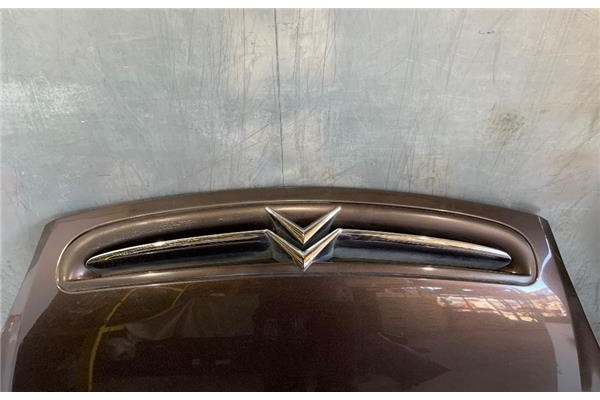 Recambio de capo para citroen xsara picasso 2.0 hdi referencia OEM IAM 7901L0  
