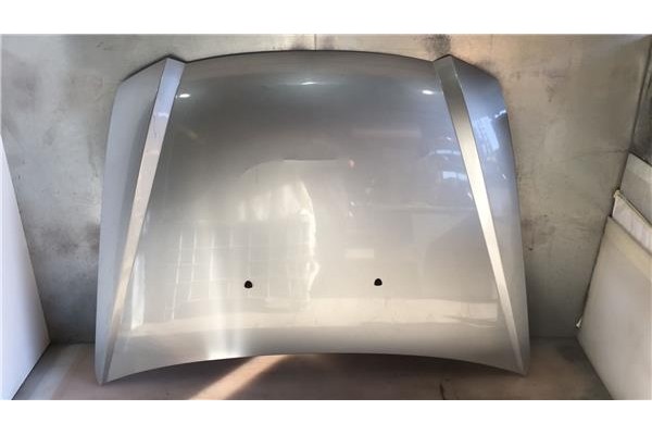 Recambio de capo para fiat stilo (192)(2001) 1.9 jtd (192_xe1a) referencia OEM IAM   