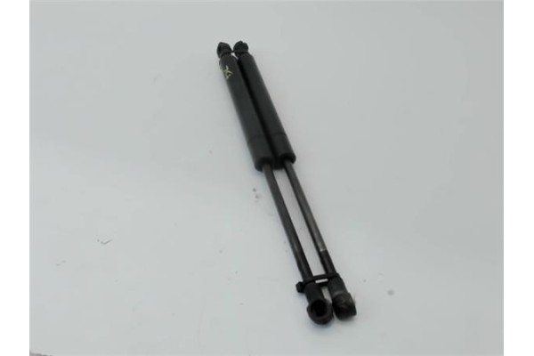 Recambio de amortiguador porton para bmw serie 3 berlina (e46) 2.0 320i referencia OEM IAM 51238202688  8202688 , BMW | 1117246 