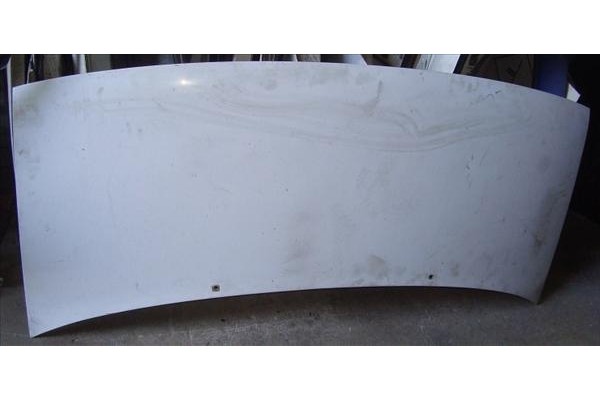 Recambio de capo para peugeot expert furgón (222) 1.9 d referencia OEM IAM   