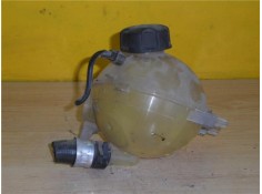 BOTELLA EXPANSION 965442968 