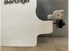 Recambio de puerta trasero derecha carga acristalada para citroen berlingo furgón 1.6 hdi 90 referencia OEM IAM 87030000  