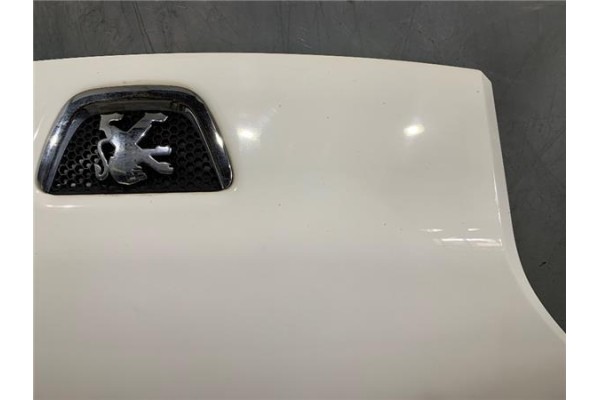 Recambio de capo para peugeot bipper 1.4 básico referencia OEM IAM 7901Q0  