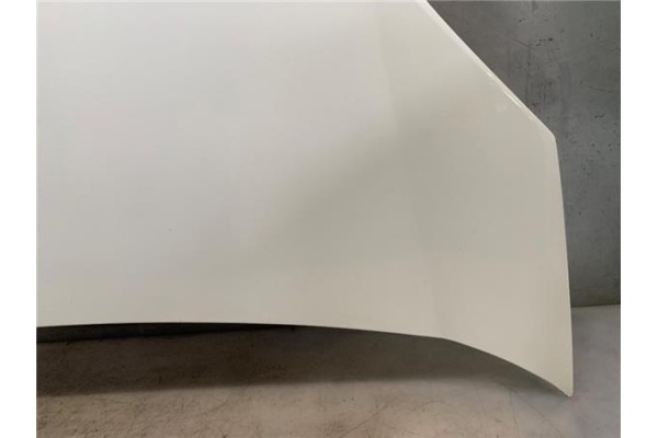 Recambio de capo para peugeot bipper 1.4 básico referencia OEM IAM 7901Q0  