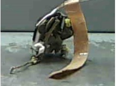 Recambio de cierre electromagnetico delantero derecho para hyundai atos (mx) 1.0 i referencia OEM IAM 8132002010  