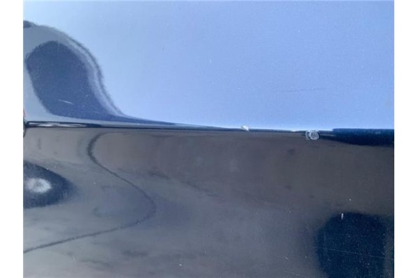Recambio de puerta trasero derecha para bmw serie 3 berlina (e90) 3.0 330d referencia OEM IAM 41007203648  