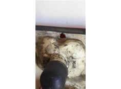 Recambio de piloto trasero derecho para daf serie 45.150 e2 fg dist.ent.ej. 4000 zgg7.5 referencia OEM IAM 6202 7183 