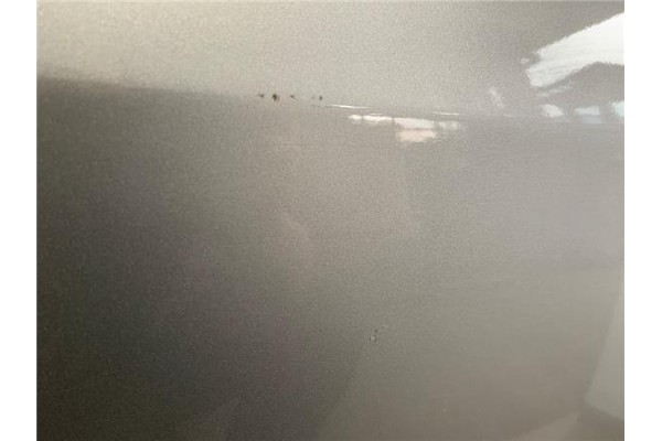 Recambio de puerta trasero derecha para audi a2 (8z) 1.4 referencia OEM IAM 8Z0833052  