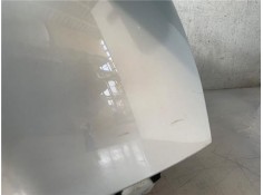 Recambio de aleta delantero derecha para renault scenic ii (jm) 1.9 dci (jm12, jm0g) referencia OEM IAM 8200020569  