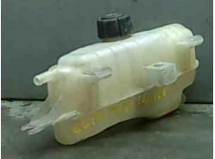 BOTELLA EXPANSION 7701477290 