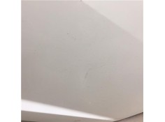 Recambio de puerta trasero izquierda para seat ibiza berlina (6j5) 1.4 16v referencia OEM IAM 6J4833055  