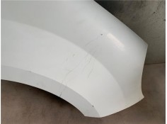 Recambio de aleta delantero derecha para renault kangoo express (fw0/1_) 1.5 dci (fw0a, fw0b) referencia OEM IAM 631009162R 7701