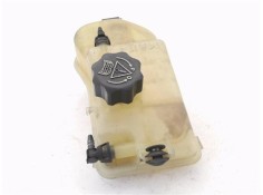 Recambio de botella expansion para citroen xsara picasso 2.0 hdi referencia OEM IAM 9646902580  