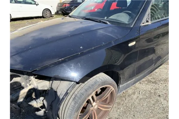 Recambio de aleta delantero izquierda para bmw serie 1 berlina (e81/e87) 2.0 118d referencia OEM IAM 41357133227  