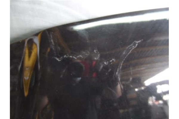 Recambio de capo para audi tt coupe/roadster (8n3/8n9) 1.8 t quattro coupe (165kw) referencia OEM IAM   