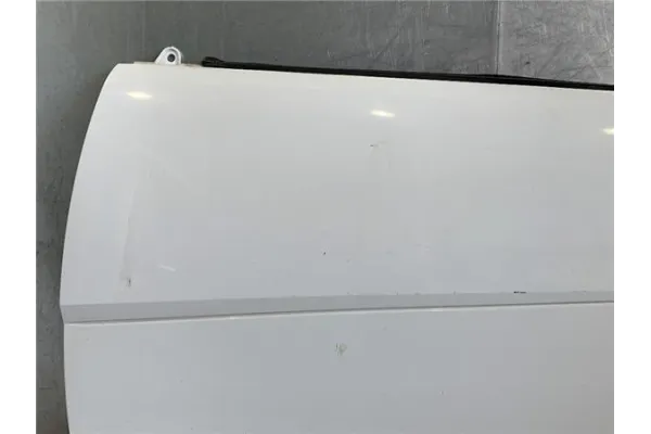 Recambio de panel ext. puerta delantero izquierda para smart fortwo coupe 0.8 fortwo coupe cdi (33kw) (451.300) referencia OEM I