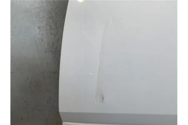 Recambio de panel ext. puerta delantero izquierda para smart fortwo coupe 0.8 fortwo coupe cdi (33kw) (451.300) referencia OEM I