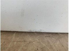 Recambio de panel ext. puerta delantero izquierda para smart fortwo coupe 0.8 fortwo coupe cdi (33kw) (451.300) referencia OEM I