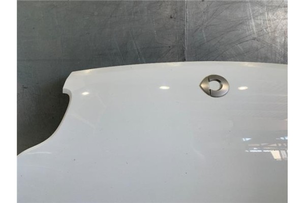 Recambio de capo para smart fortwo coupe 0.8 fortwo coupe cdi (33kw) (451.300) referencia OEM IAM A4517510102CA8L  