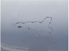 Recambio de capo para volkswagen golf v (1k1) 1.9 tdi referencia OEM IAM 1K0823031J  