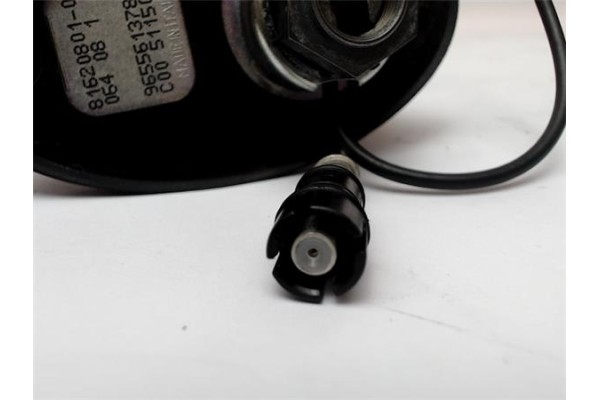 Recambio de antena electrica para peugeot 308 1.6 confort referencia OEM IAM 9655613780  