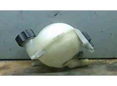 BOTELLA EXPANSION 1307VE 