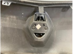 Recambio de rejilla paragolpes delantero para renault kangoo express (fw0/1_) 1.5 dci (fw0a, fw0b) referencia OEM IAM 8200616137