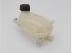 BOTELLA EXPANSION 217108864R 