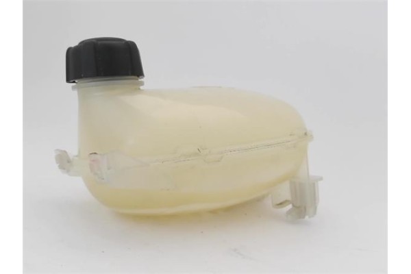 Recambio de botella expansion para renault clio v 1.0 business referencia OEM IAM 217108864R  