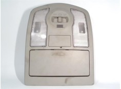 LUZ DELANTERO CENTRAL TECHO 1D111142G 