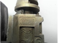 Recambio de maneta exterior delantero izquierda para peugeot 207 1.6 hdi referencia OEM IAM 59395J01  